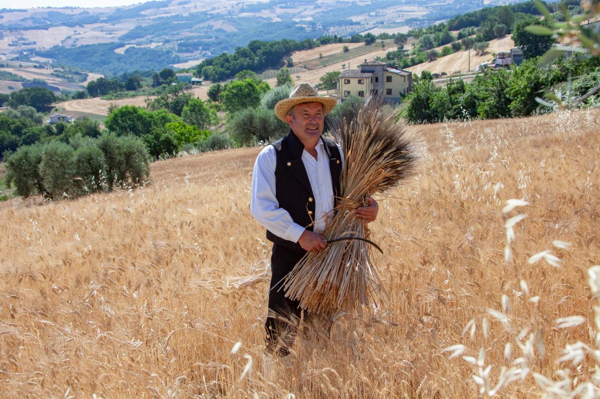 Agriturismo Terra E Sapori Campodipietra Ngoại thất bức ảnh
