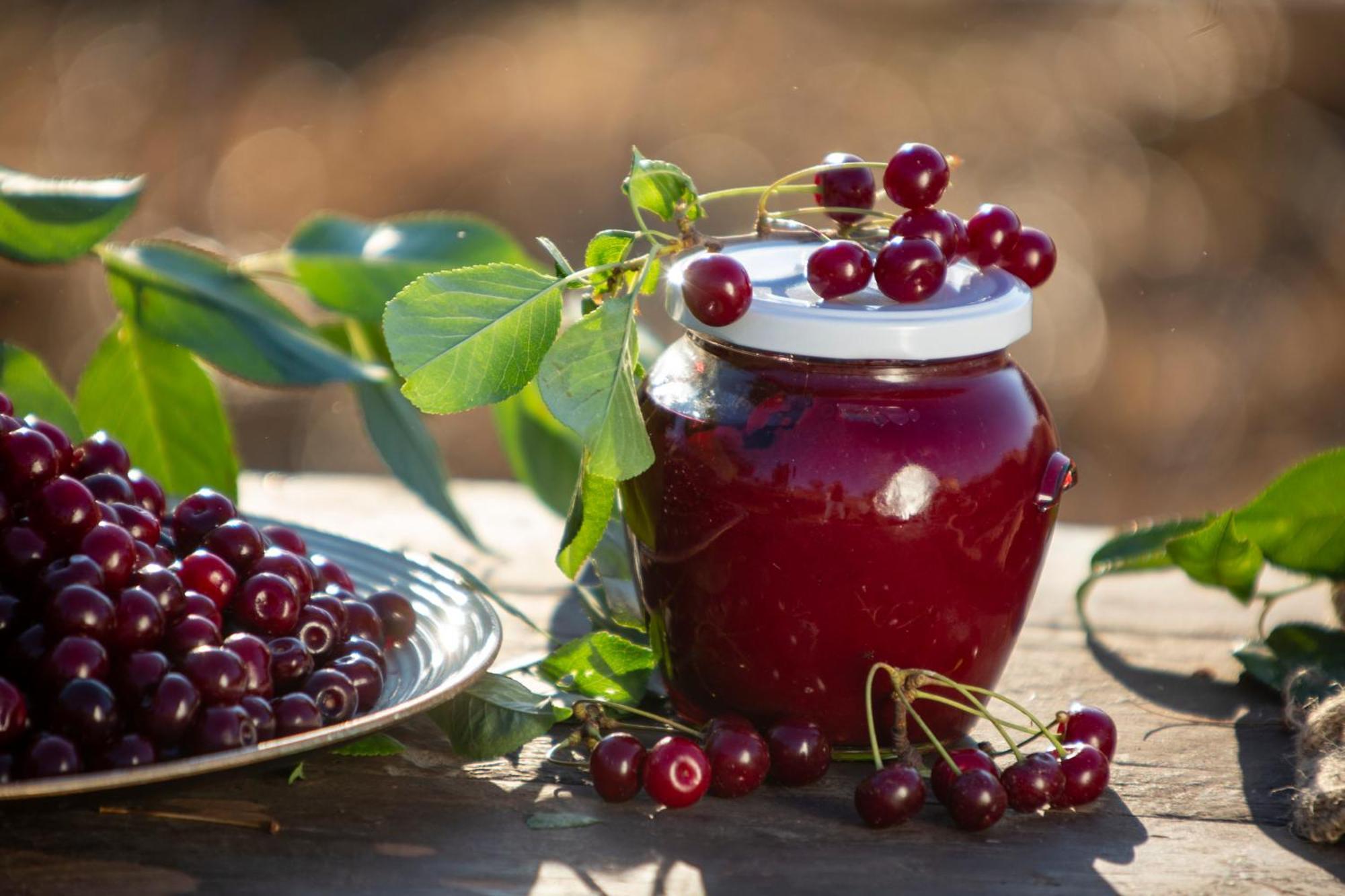 Agriturismo Terra E Sapori Campodipietra Ngoại thất bức ảnh