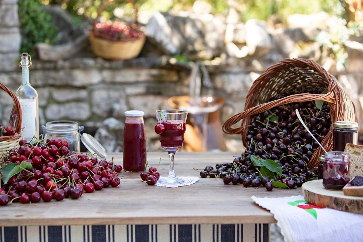 Agriturismo Terra E Sapori Campodipietra Ngoại thất bức ảnh