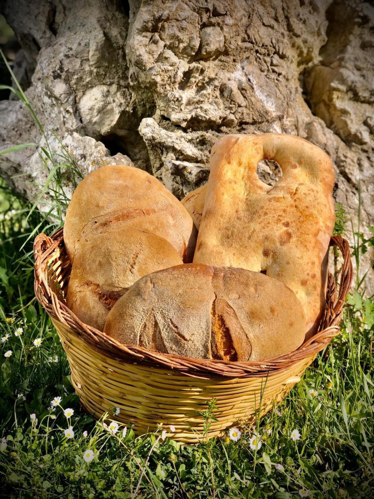 Agriturismo Terra E Sapori Campodipietra Ngoại thất bức ảnh
